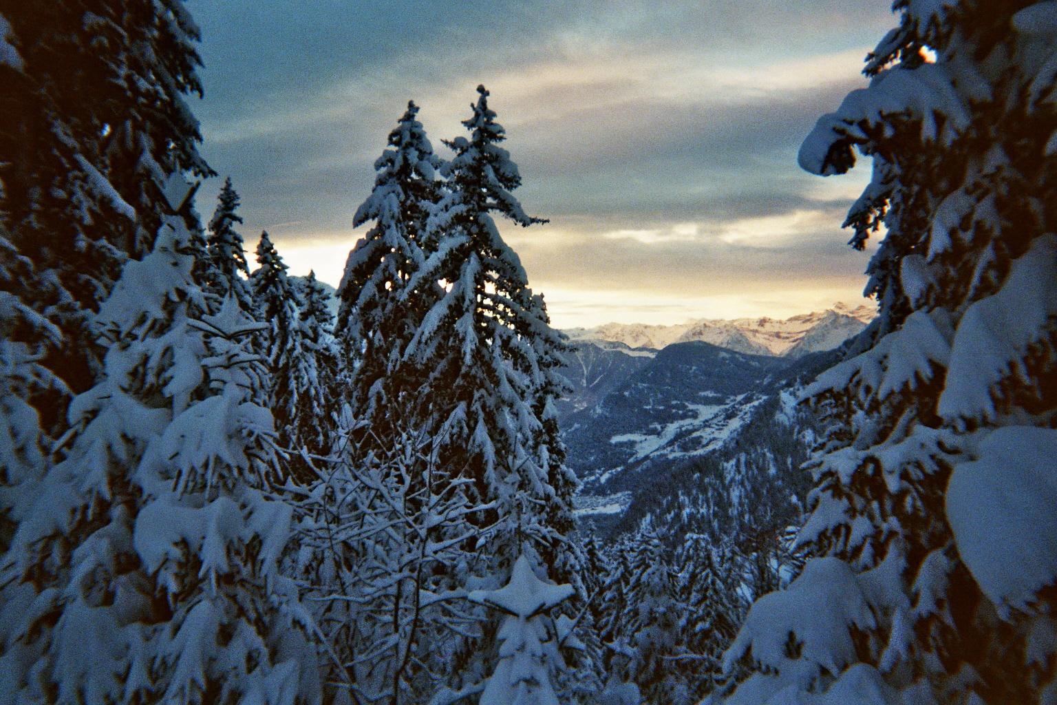 whatsapp image 2025 12 08 at 13.14.30 b24322ee