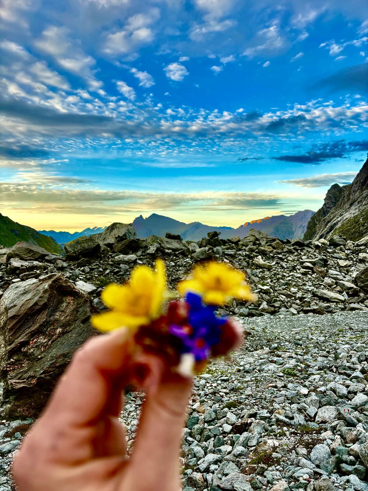 Accueil whatsapp image 2025 12 08 at 13.25.34 294207f4