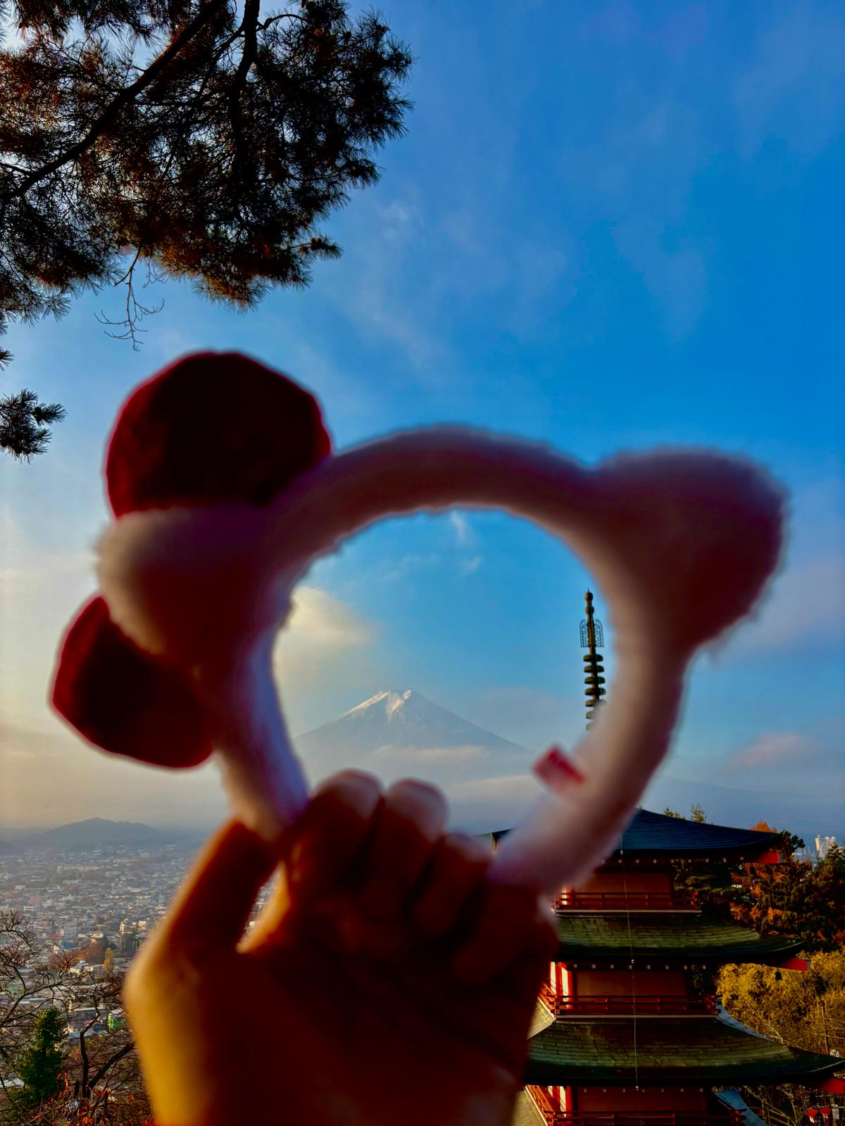 whatsapp image 2025 12 08 at 14.17.22 4c40f88a