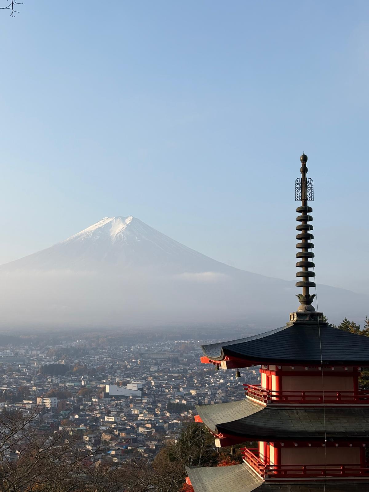 whatsapp image 2025 12 08 at 14.17.23 877e51dc